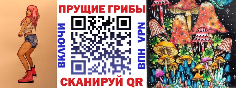 кракен зеркало  купить закладку  Кировск  Псилоцибиновые грибы Magic Shrooms 