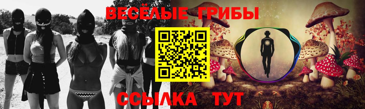 Псилоцибиновые грибы Psilocybe  Вход с VPN  как найти   Кировск 